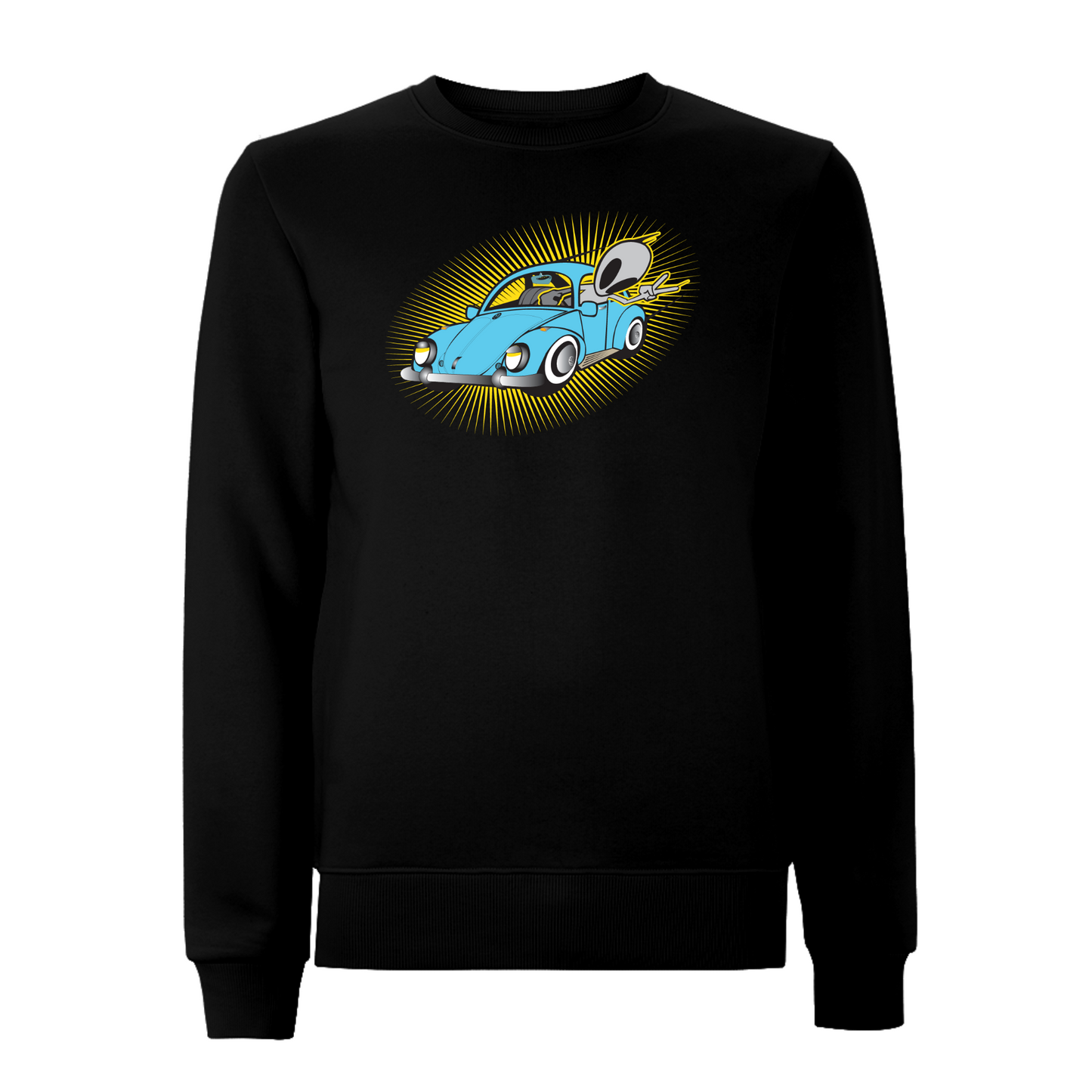 FLYING VISIT - BEETLE Sweatshirt