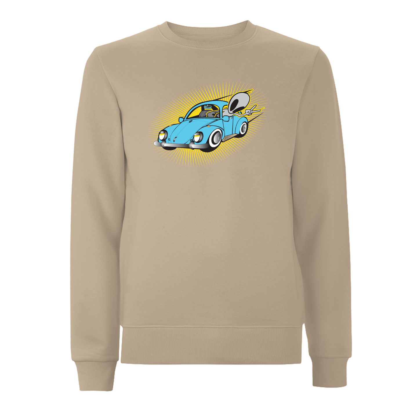 FLYING VISIT - BEETLE Sweatshirt
