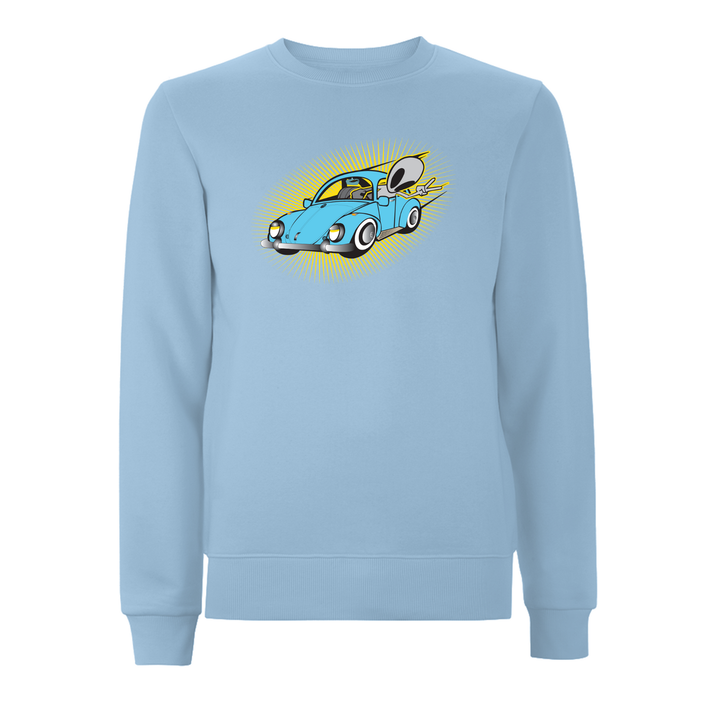 FLYING VISIT - BEETLE Sweatshirt